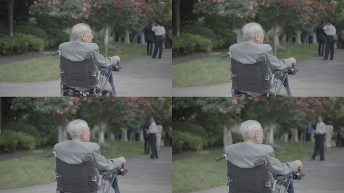 公园轮椅老人