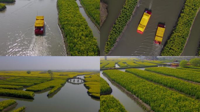 泰州兴化千垛油菜花海 油菜花航拍