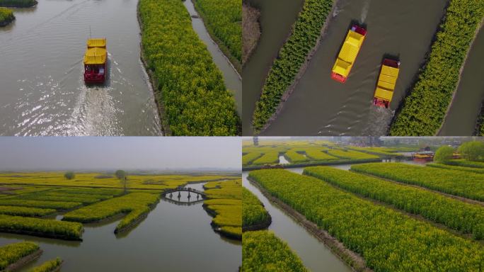 泰州兴化千垛油菜花海 油菜花航拍