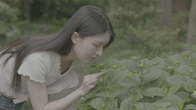 花草夏天阳光女孩美丽大学生看书原素材