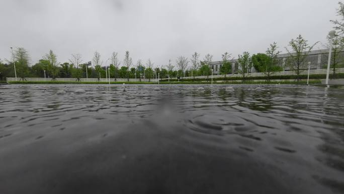 雨滴升格水珠溅起