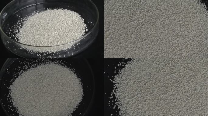 农药实验 玻璃皿 白色颗粒剂 外观 大小