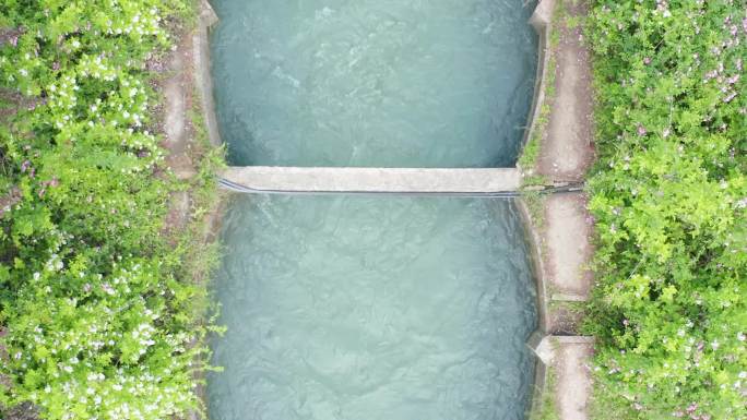 扬州跑鱼河视频素材