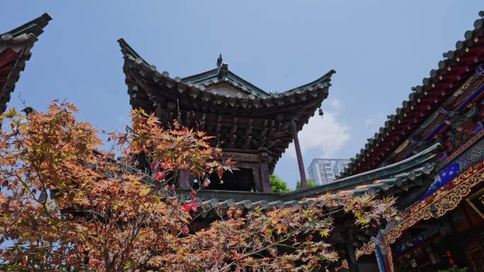 真庆观古建筑群都雷府盐隆祠真武祠4272