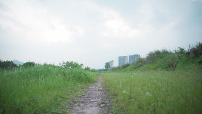 仙居的绿野仙踪