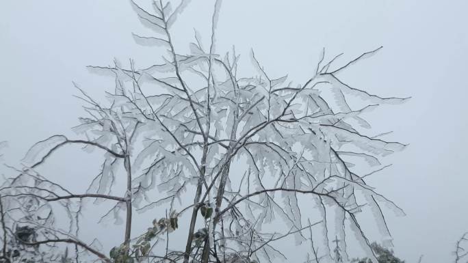 冰雪世界雾凇冰封严冬