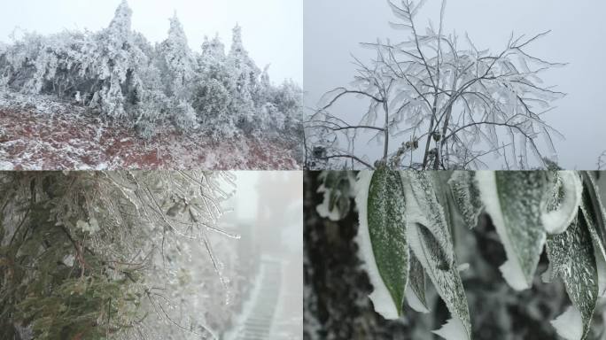 冰雪世界雾凇冰封严冬