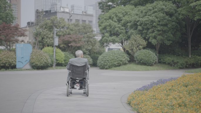 公园轮椅老人