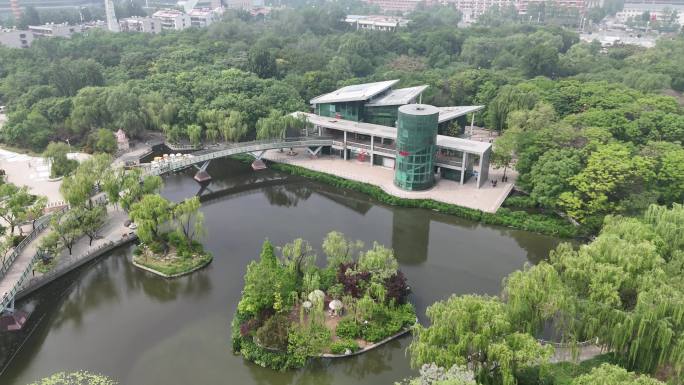 济南泉城公园 航拍 牡丹园 4K 植物