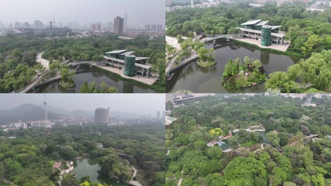 济南泉城公园 航拍 牡丹园 4K 植物