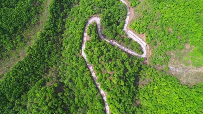 俯瞰森林盘山公路