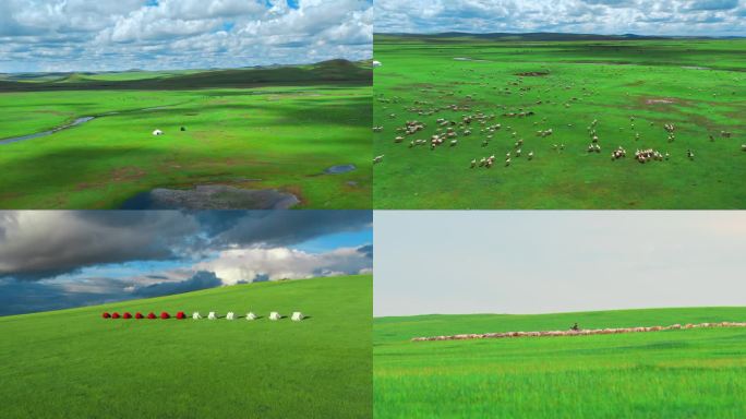 呼伦贝尔夏季草原羊群莫尔格勒河蒙古包