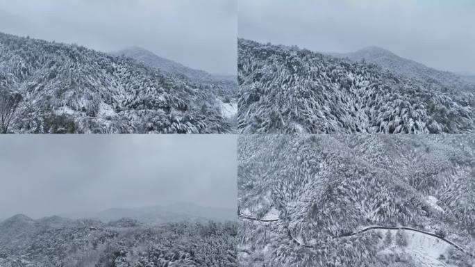 森林雪景降雪