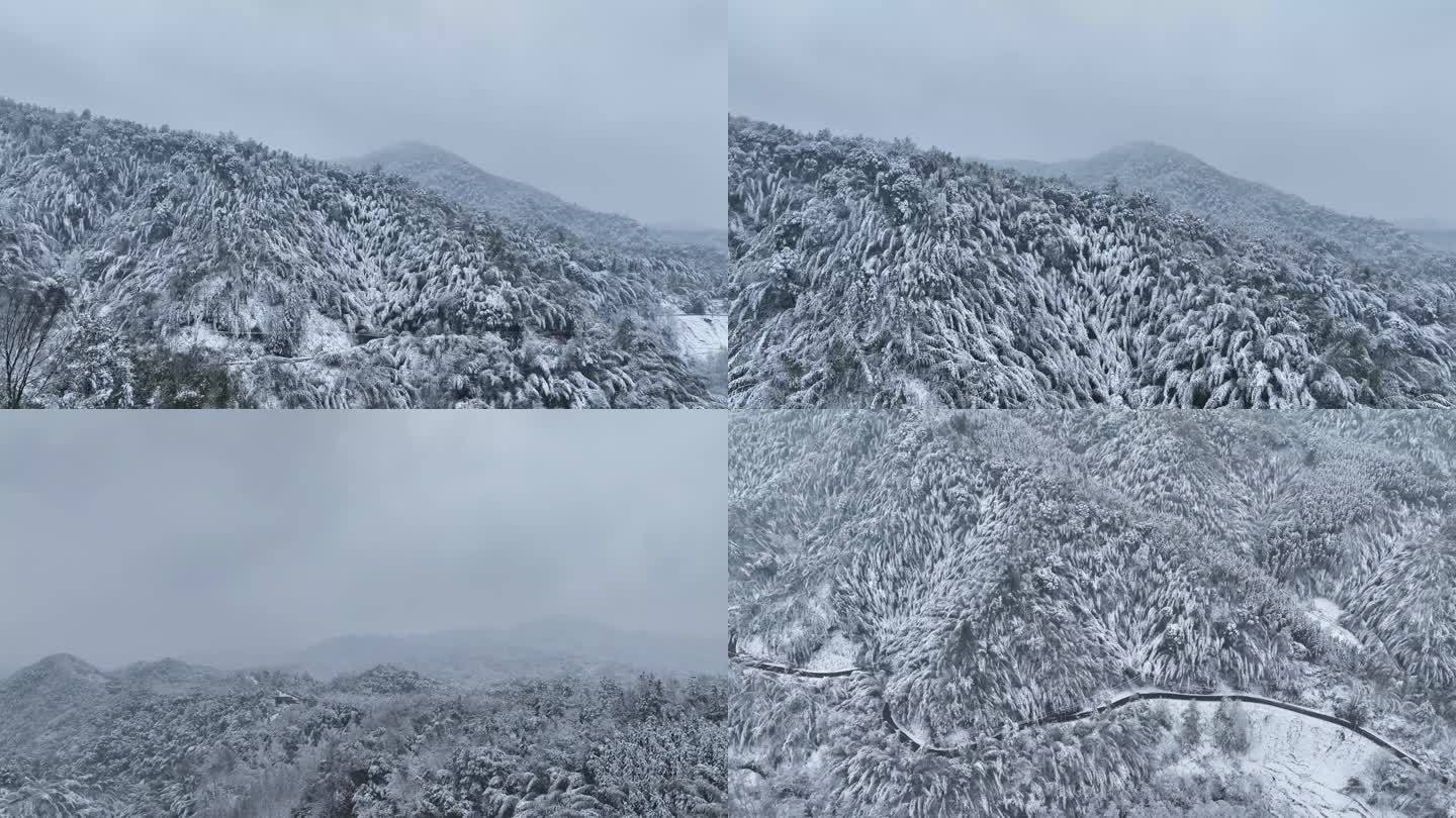 森林雪景降雪