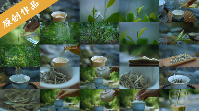 4k白毫银针白茶茶叶特写泡茶茶道茶艺茶汤