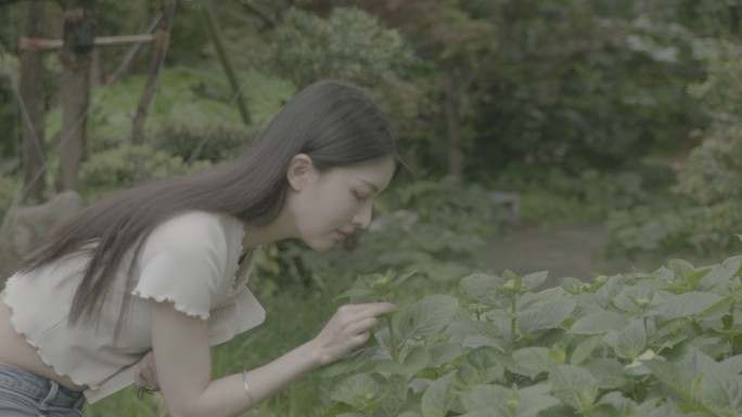 花草夏天阳光女孩美丽大学生看书原素材