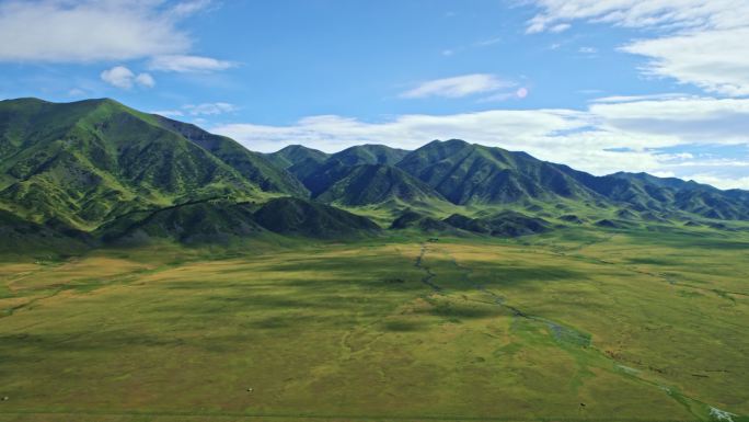 直升机航拍新疆伊犁大草原