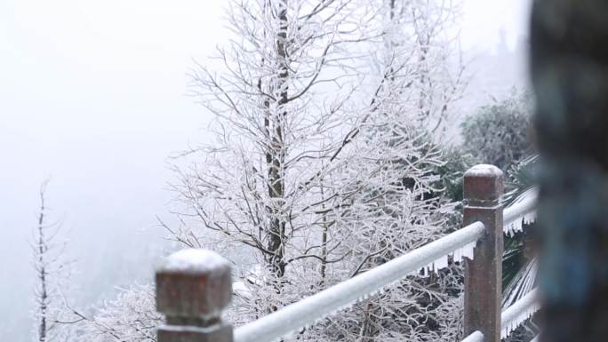 雾凇冬天结冰雪景冰天雪地