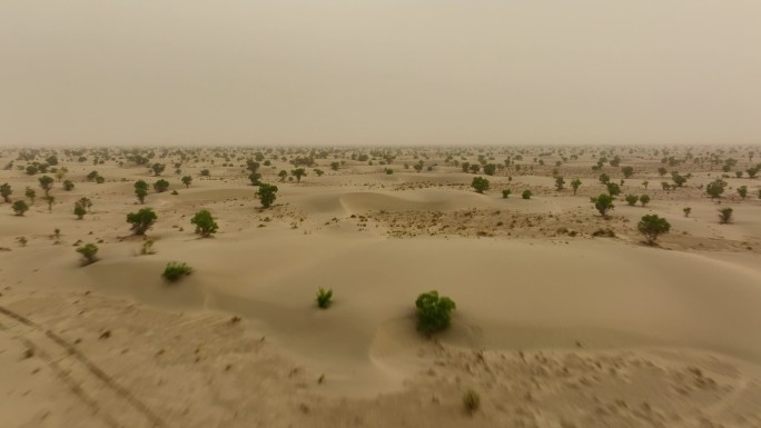航拍新疆塔克拉玛干沙漠漫天黄沙2
