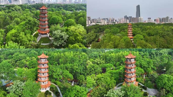 武汉解放公园步月塔城市风光