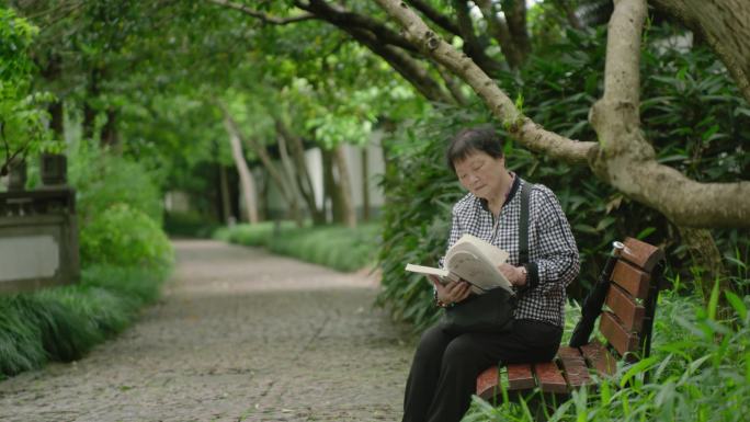 老年人老太太公园看书散步夏天