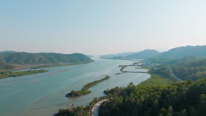 广东江门_镇海湾红树林湿地公园002