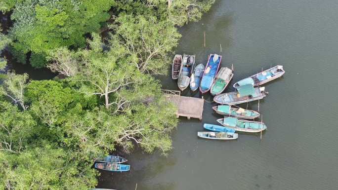 4K-Log-航拍八门湾红树林，乡村渡口