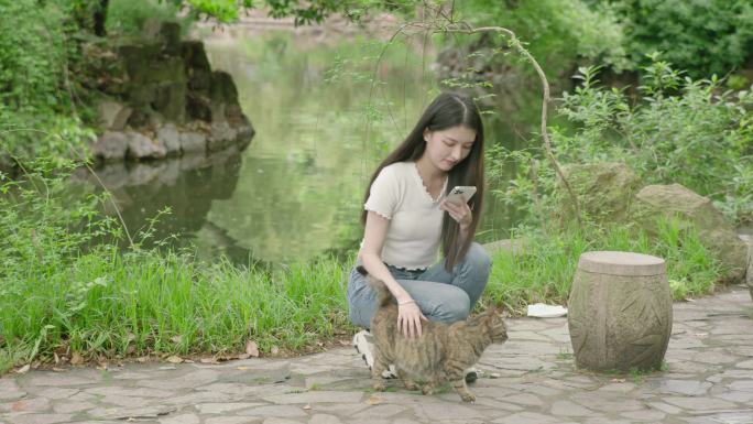 猫咪宠物校园公园大学绿色春天夏日阳光女孩