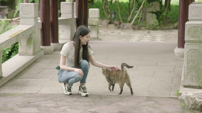 猫咪宠物校园公园大学绿色春天夏日阳光女孩