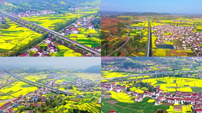 高铁 穿越花海 油菜花春天田野 大美中国