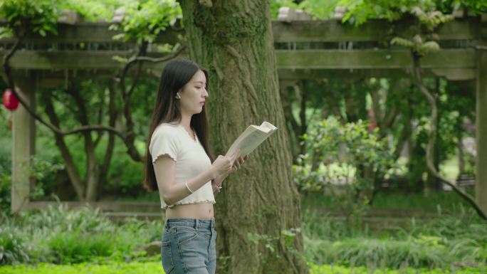 大学生美女看书夏日夏天阳光读书学习学校