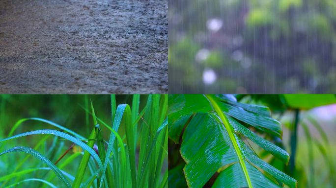 南方的雨