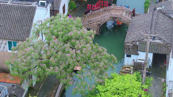 春天雨后江南水乡古镇周庄古镇风景航拍