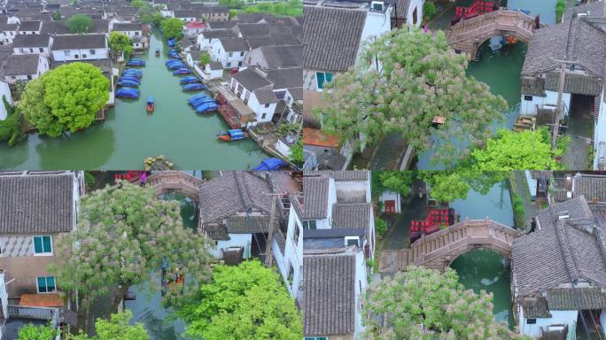 春天雨后江南水乡古镇周庄古镇风景航拍