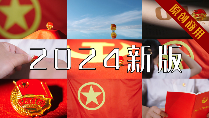 2024共青团团徽团旗团章团员证入团宣誓