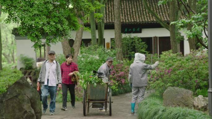 老人下雨散步看书学习公园夏天春天树林