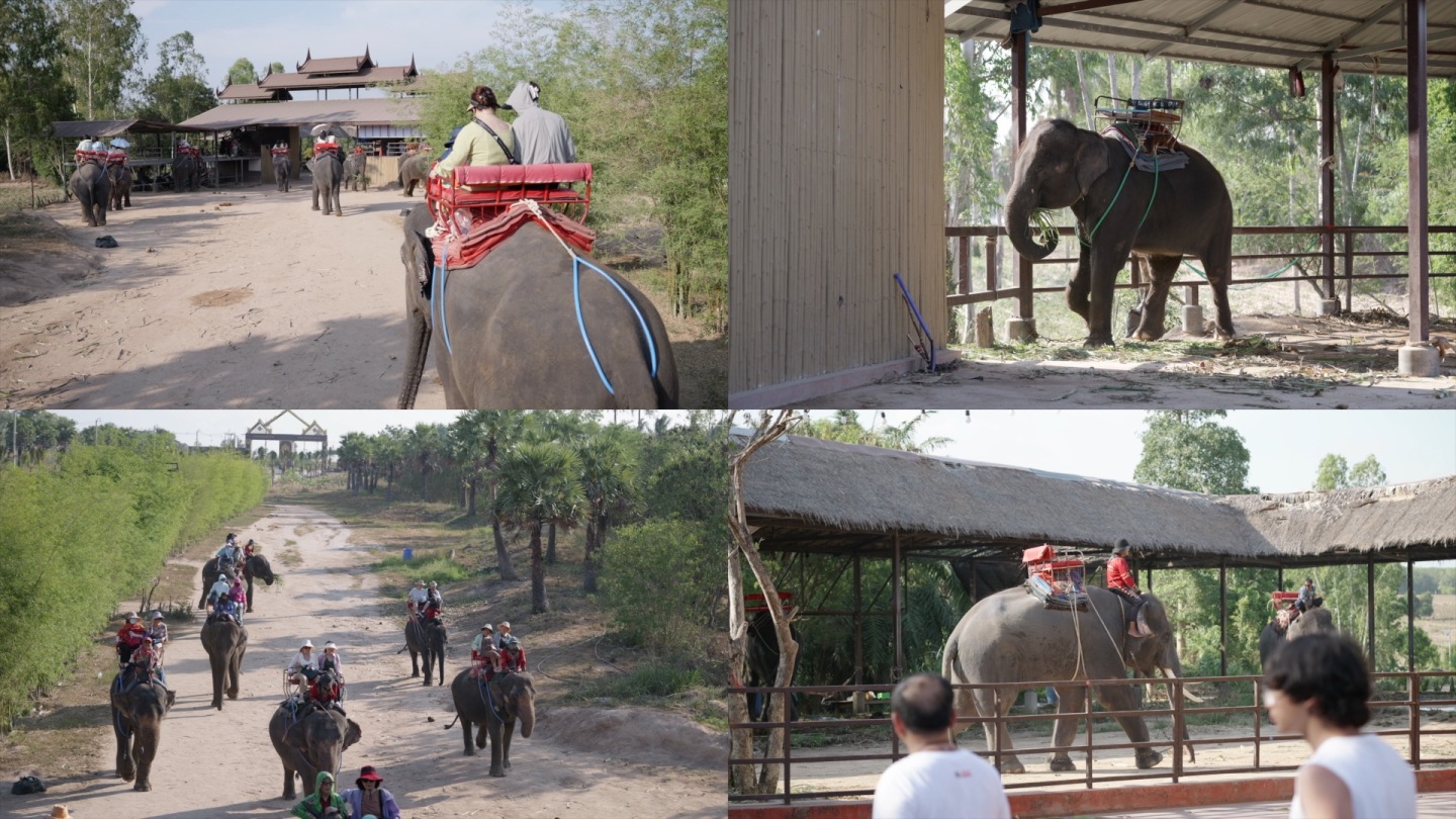 泰国旅游骑大象