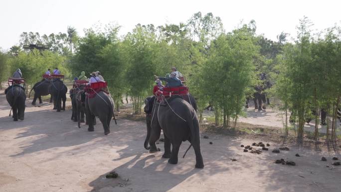 泰国旅游骑大象