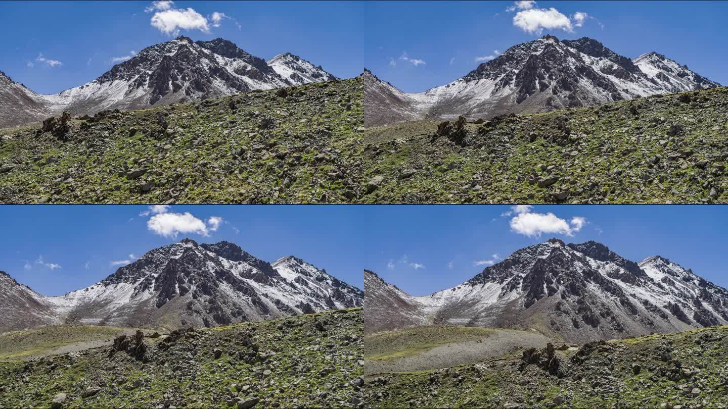 天山雪莲保护地