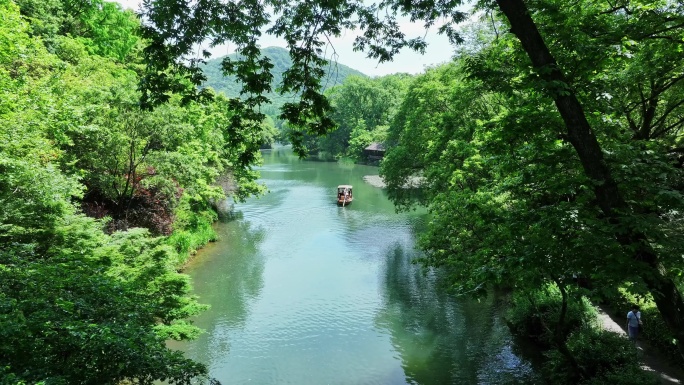 西湖的摇橹船在小河道里从乌龟潭驶向御湖湾