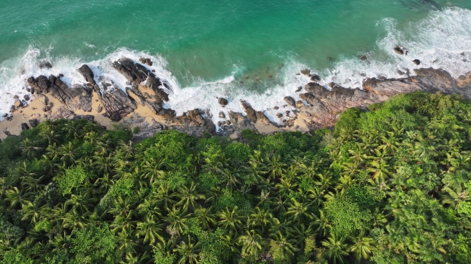 椰林海岸