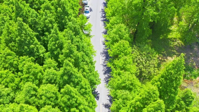 4K 汽车行驶经过树林 俯拍航拍视频
