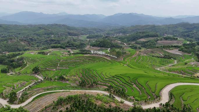 海南五指山牙胡梯田