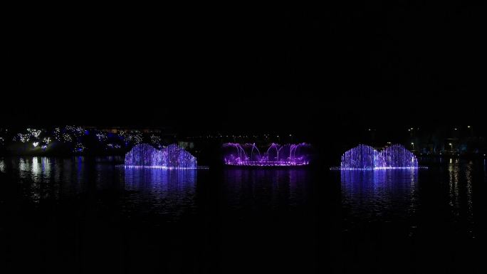 成都2024世界园艺博览会夜景灯光喷泉