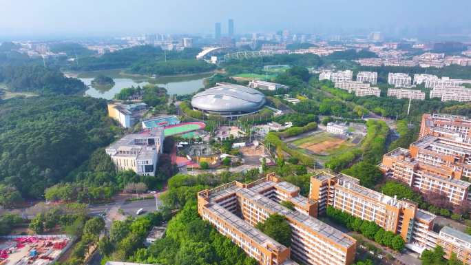 广州大学城航拍校园广州番禺区广东城市风景