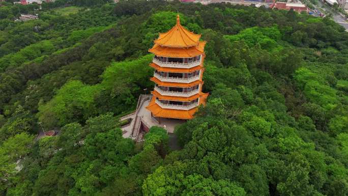 东莞福神岗公园【多组镜头】