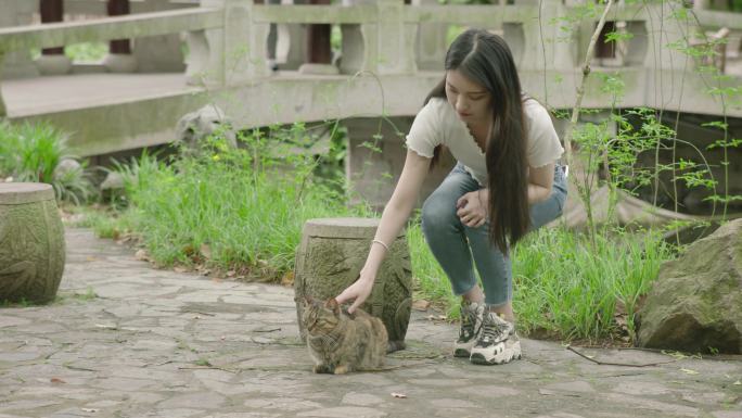 猫咪宠物校园公园大学绿色春天夏日阳光女孩