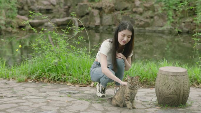 猫咪宠物校园公园大学绿色春天夏日阳光女孩