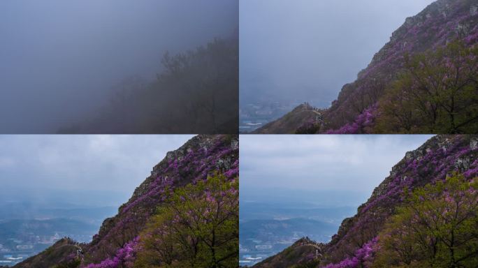 大黑山云海平流雾延时