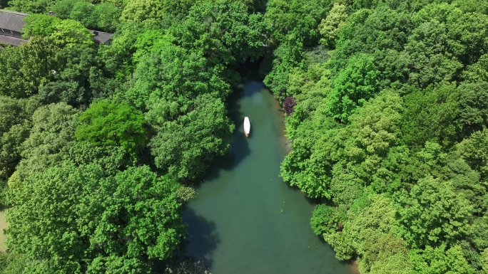 西湖的摇橹船在小河道里从乌龟潭驶向御湖湾